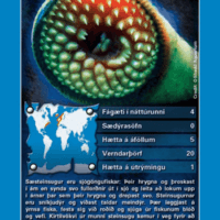 Top Trumps: Sjávardýr í hættu - Image 2