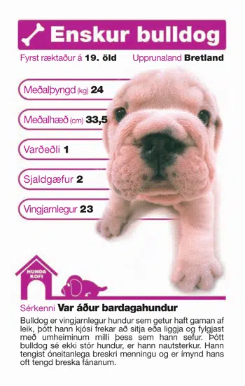Top Trumps: Hundurinn - Image 2