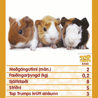 Top Trumps: Dýraafkvæmi - Image 3