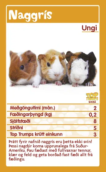 Top Trumps: Dýraafkvæmi - Image 3