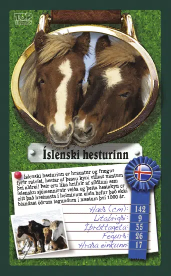 Top Trumps: Hestar - Image 2