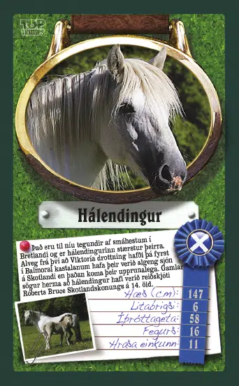 Top Trumps: Hestar - Image 3