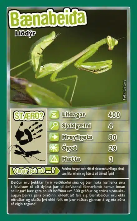 Top Trumps: Pöddur - Image 4