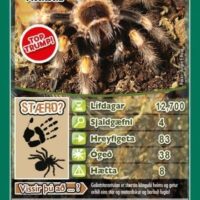 Top Trumps: Pöddur - Image 3