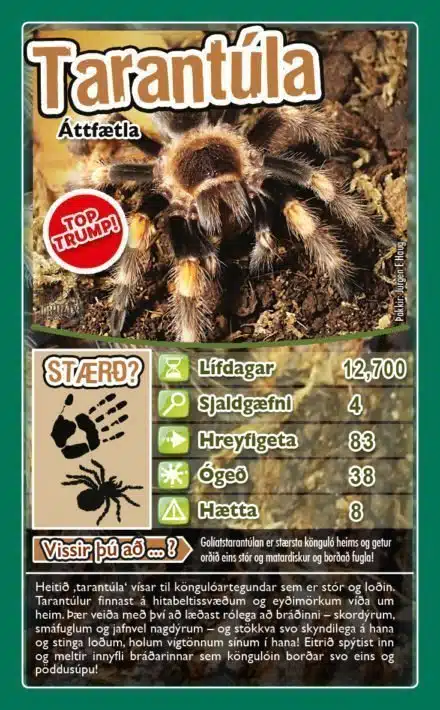 Top Trumps: Pöddur - Image 3
