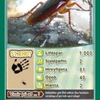 Top Trumps: Pöddur - Image 2