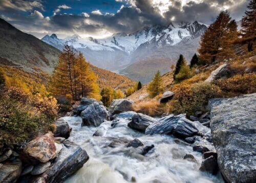 Edi. Humboldt: Mountain Stream (1000 bita) - Image 2