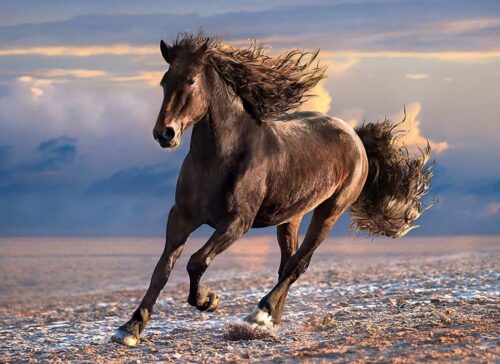Free Horse (1000 bitar) - Image 2