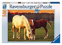 Beautiful horses (500 bita)