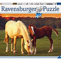 Beautiful horses (500 bita)