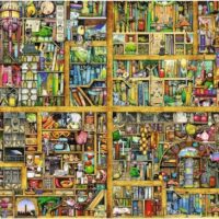 Magical Bookcase (18.000 bita) - Image 2