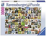 99 Funny Animals (1000 bita)