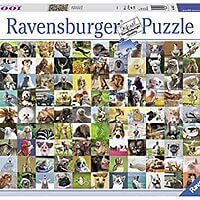 99 Funny Animals (1000 bita)