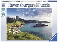 Fantasy Cove (2000 bita)