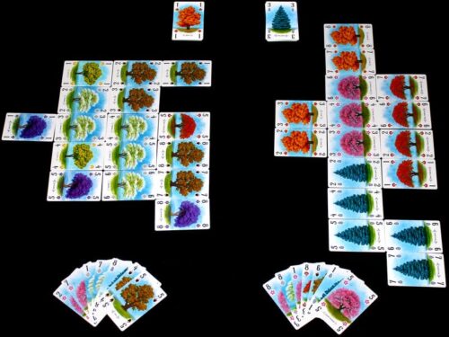 Arboretum - Image 6