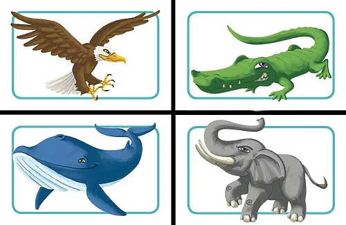 Concept Kids: Animals - Image 3