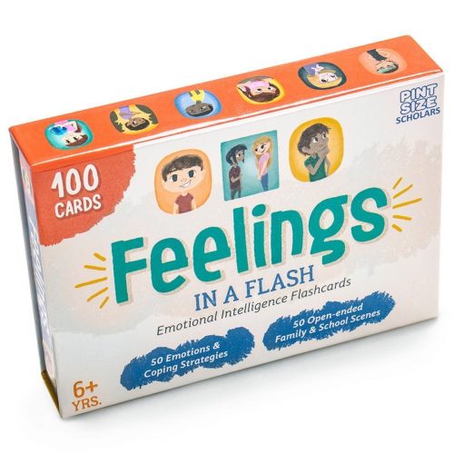 feelings in a flash 01