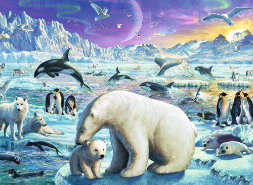 Polar Animals Gathering (300 bita) - Image 2