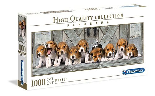 Beagles - panorama (1000 bitar)