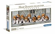 Beagles - panorama (1000 bitar)