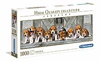 Beagles - panorama (1000 bitar)