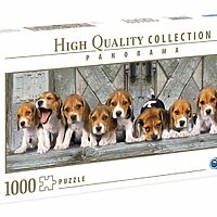 Beagles - panorama (1000 bitar)