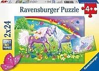 Rainbow horses (2x24)