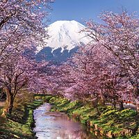 Fuji Mountain (1000 bitar) - Image 2