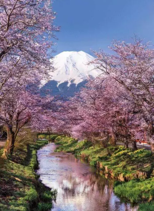 Fuji Mountain (1000 bitar) - Image 2