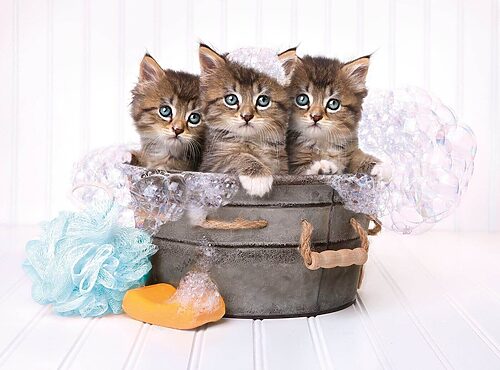 Kittens and soap (500 bitar) - Image 2