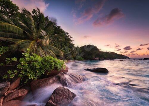Praslin Island, Seychelles (1000 bita) - Image 2