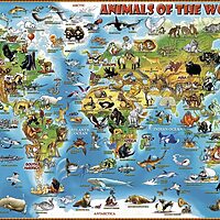 World of animals (300 bita) - Image 2