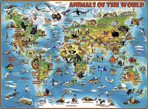 World of animals (300 bita) - Image 2