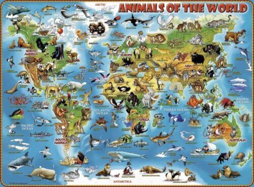 World of animals (300 bita) - Image 2