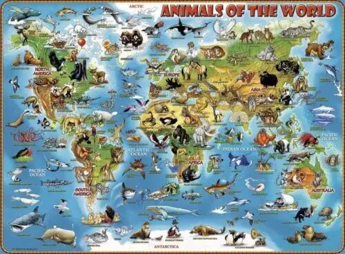 World of animals (300 bita) - Image 2