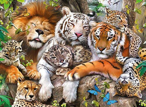 Big cat nap (200 bita) - Image 2