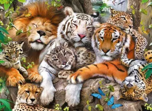 Big cat nap (200 bita) - Image 2