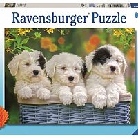 Cuddly puppies (200 bita)
