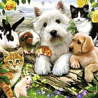 Happy animals buddies (300 bita) - Image 2