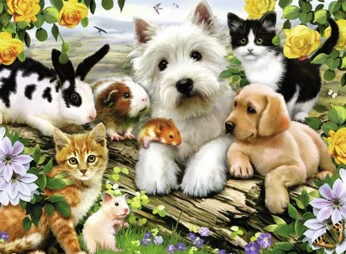 Happy animals buddies (300 bita) - Image 2