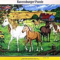 Horses in the paddock (40 bita)