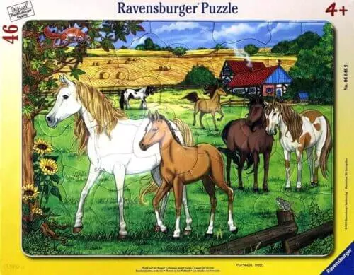 Horses in the paddock (40 bita)