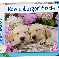 Sweet dogs in a basket (300 bita)