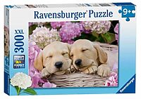 Sweet dogs in a basket (300 bita)