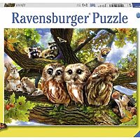 Woodland neighbours (200 bita)