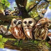 Woodland neighbours (200 bita) - Image 2