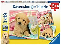 Cute puppy dogs (3x49)