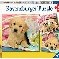 Cute puppy dogs (3x49)