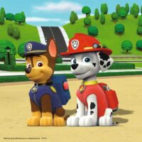 Team of 4 paws (3x49) - Image 4