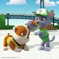 Team of 4 paws (3x49) - Image 3